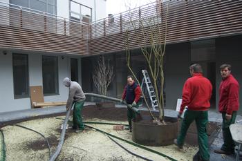 Een binnentuin met lage beplanting voor een groen gevoel tussen vier muren
